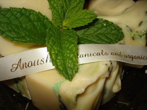 Anoush botanicals and organics Spa Soap Citrus Mint Bars