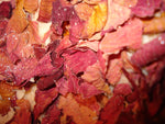 Anoush botanicals and organics Organic Rose Petals for infusion
