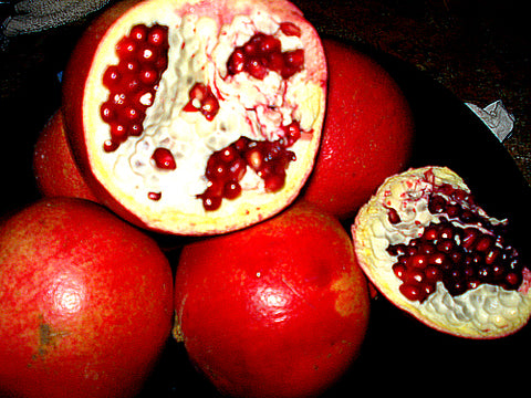z serum ~ jasmine with pomegranate